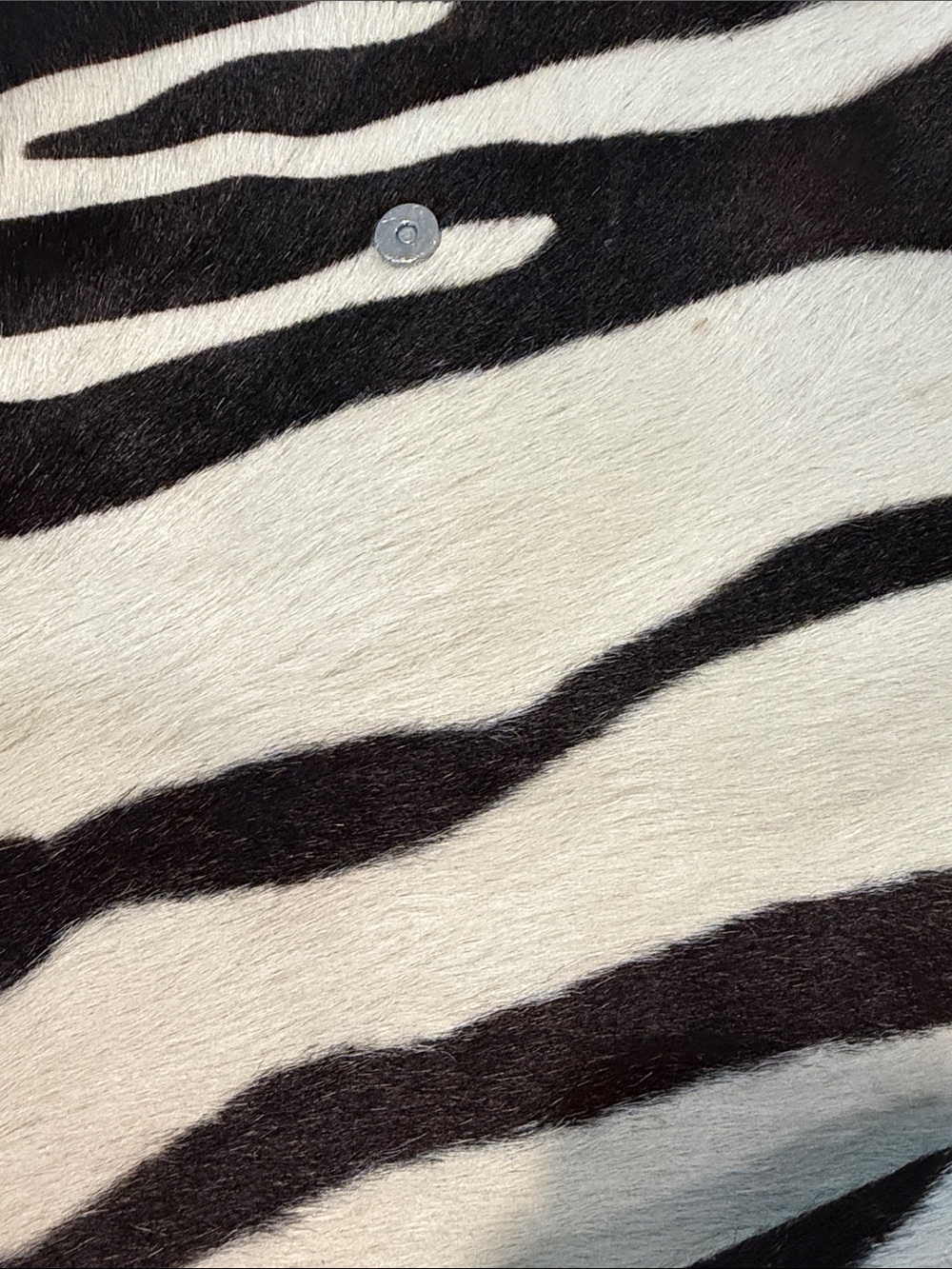 Cavalcanti Black & Cream Zebra-Print Leather Tassel Crossbody Bag - Picture 2 of 7